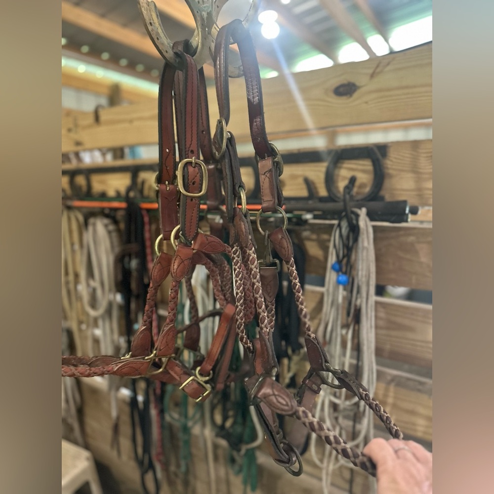 Chestnut braided leather Halter with brass hardware